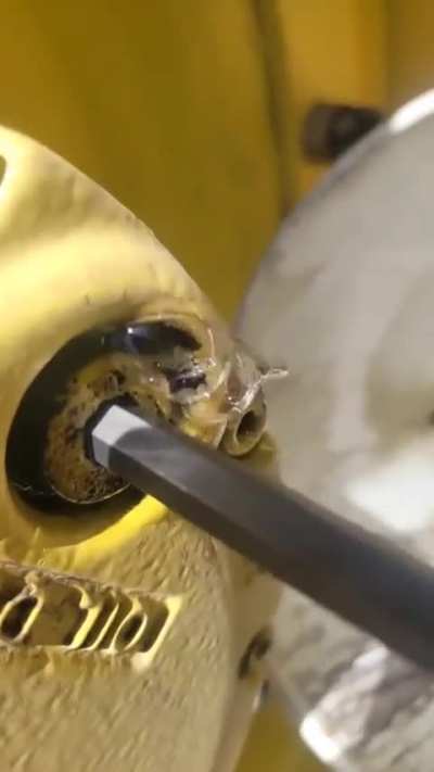 Oil refuses to be changed