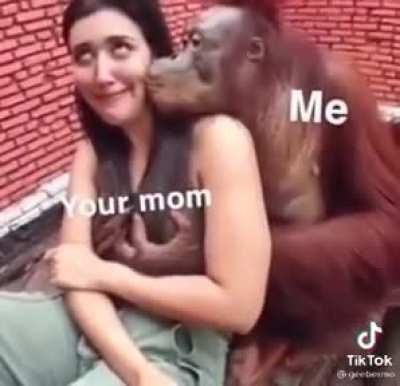 Average tourist experience in Iran