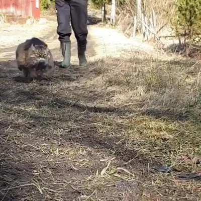 Boosters Activated........