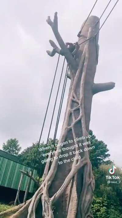 🐺 Never talk to women, only to money, yourself, and your squat rack. - Sigma Rule #486