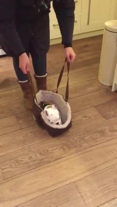 All zipped up and ready to go!