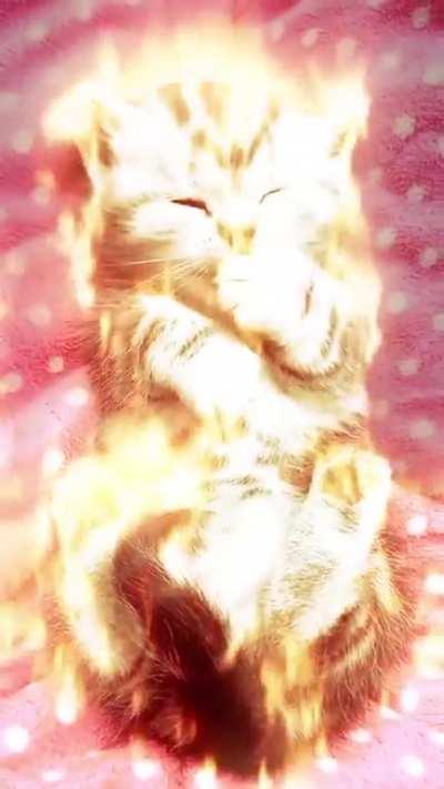 tw// gmail unchecked