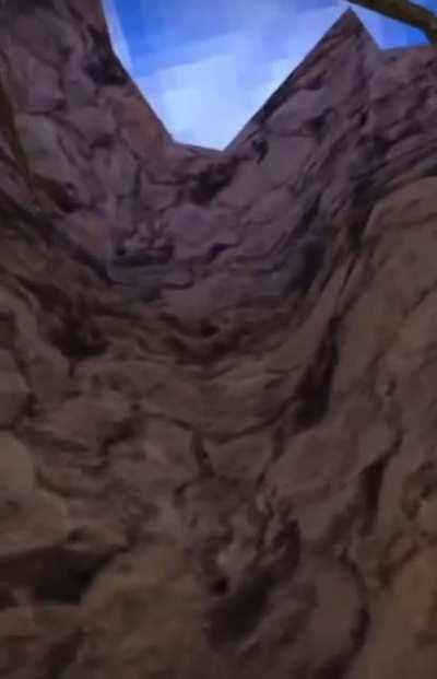 🦍 g o r i l l a 🦍