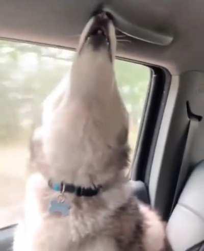 Classic Family Road Trip.