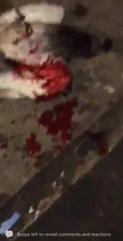 Kay flock and blovee and dougie b opp Dthang and Edai gunz and bando and baby gzzly and tdot and reefy gunz kill bird.