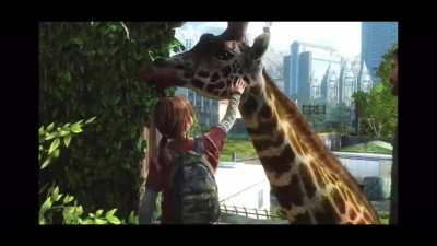 Since it flopped on tiktok