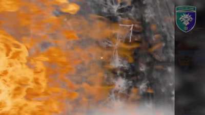 Ukraine's 38th Marine Brigade UAV teams used munition drops to help defend against Russian infantry assaults, seen in both IR and natural views. [Ten videos; reverse chronological; original audio] All Daily Updates, January 20 - 29, 2025