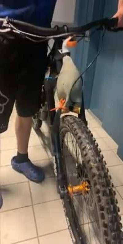 Now people can’t say they didn’t hear me.