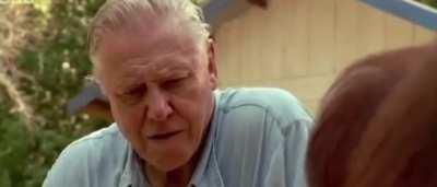 What is the difference between leveraged and over leveraged? - The latest in my series of GME Epic hype trailers.