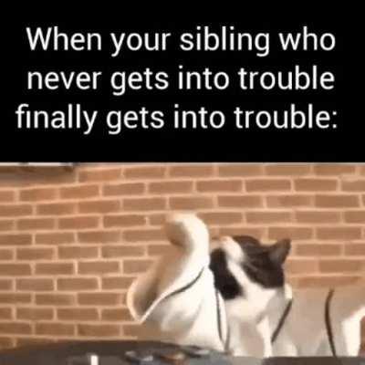 Like that's ever gonna happen