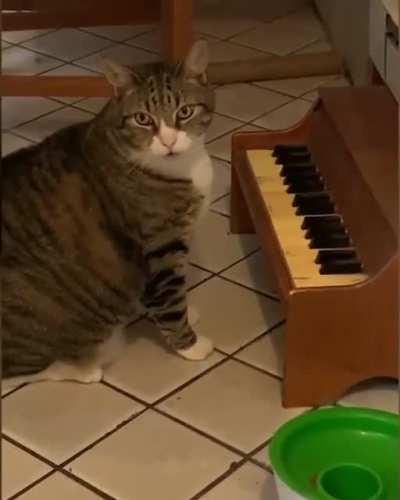 Chonky piano player