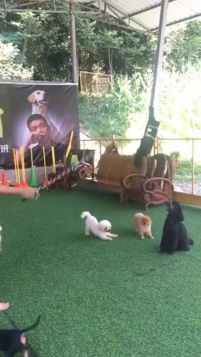 Jumping Rope with my Besties