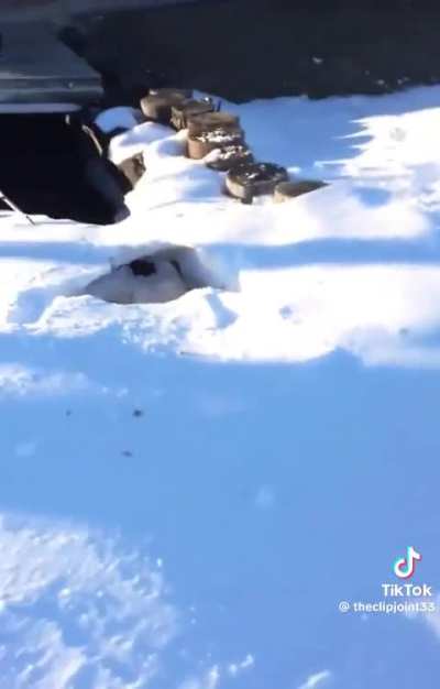 Bro went to the backrooms