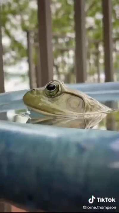 May the photoshoot begin!