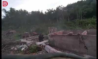 Taking down a wall...or two.