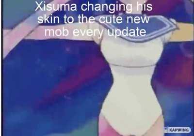 (Various gif memes to powerpuff girls theme song) Hermitcraft season 8 (and as a whole for some of them) explained