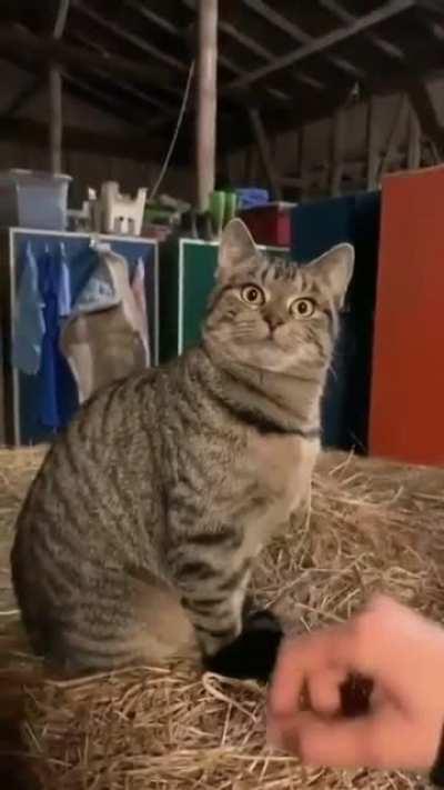 Concentration and focus is the key! Don't be distracted by anything!