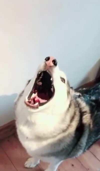 AAAAAAAAAAAAAAAAAAAAAAAA