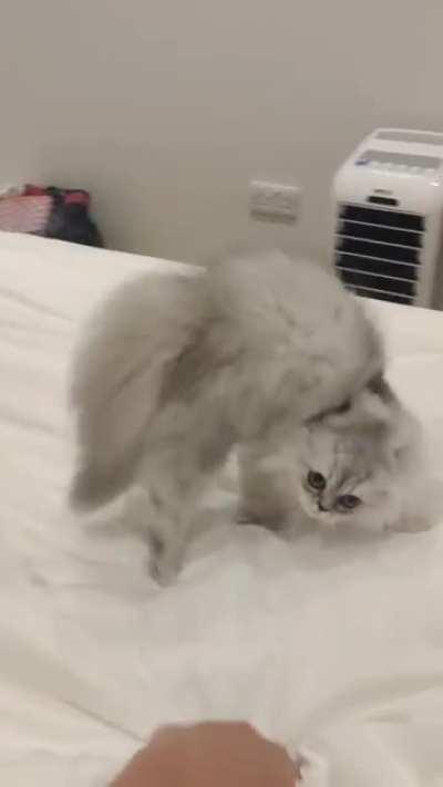 Practicing for halloween