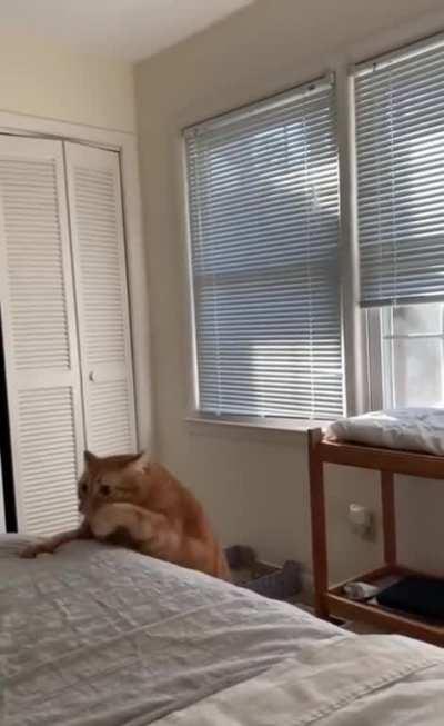 He did so in spite of unforeseen difficulties