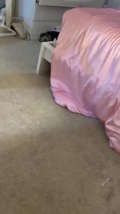 Buddy caught his girl cheating, then catches the fade....