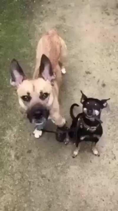 Helping out a friend