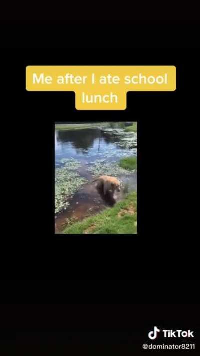 The gagging noise this dog makes sounds weirdly human