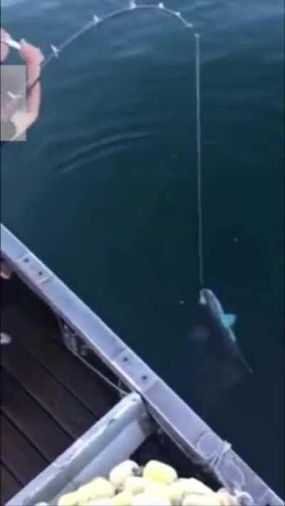 Fishing with Libright