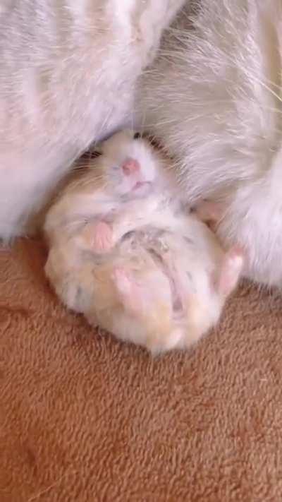 Pure love ❤️😻💓