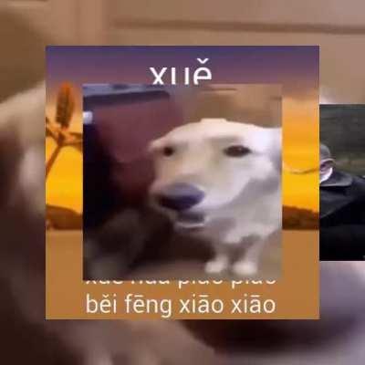 fuck peggy carter 😠😠😠