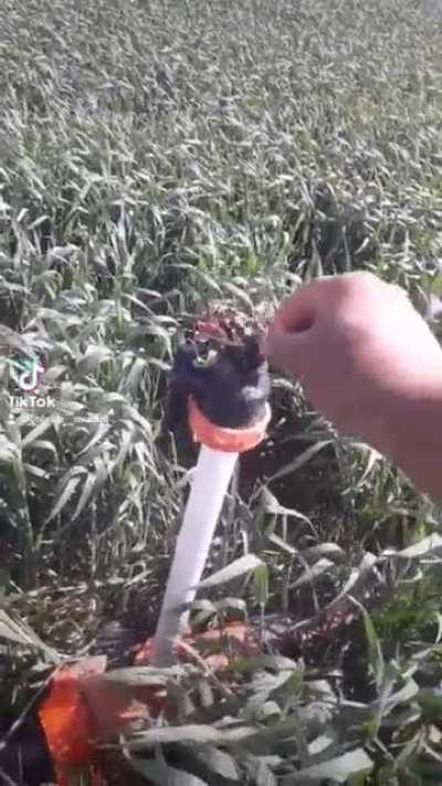 It was very cosy deep inside