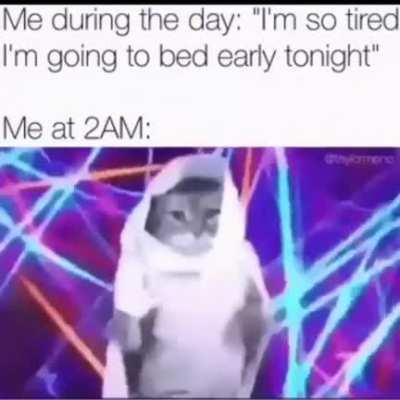 Invest here before going to bed