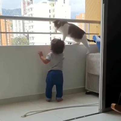 Cat worried for baby:)