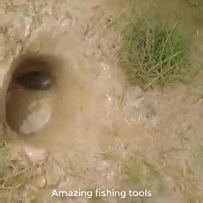 Sorry if repost. NSFL. (Warning viewer discretion advised) How to fish using your pet naagin