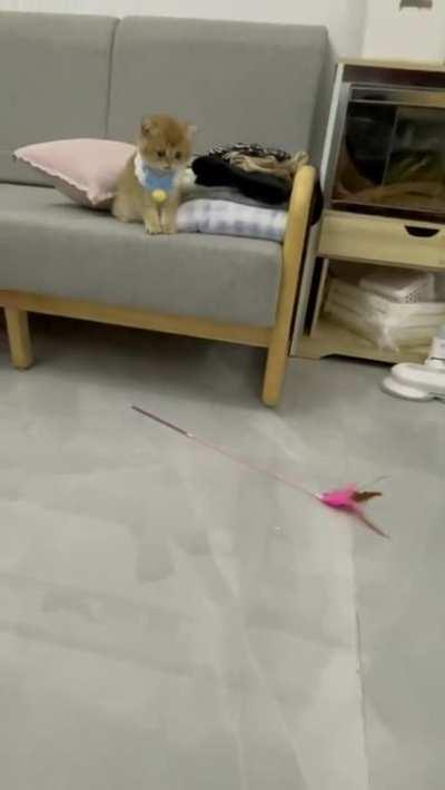 For some reason this thing upset him very much