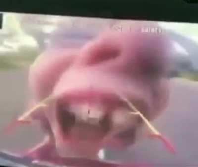 Is it ok that I want to hit her front teeth out with a wooden baseball bat