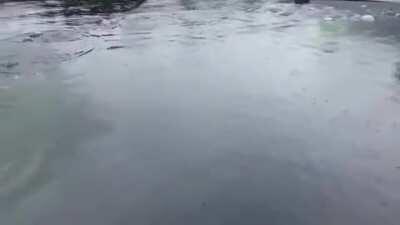 How f******g deep is that dock.