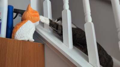 Tap the Flerken 😺