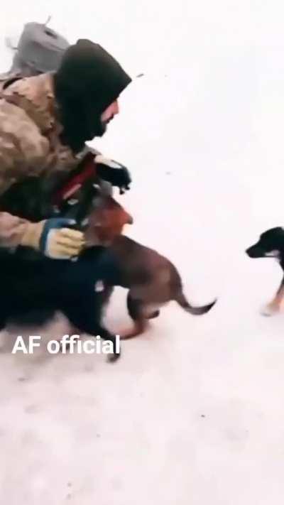 Ukrainian soldier pets puppies in the snow.