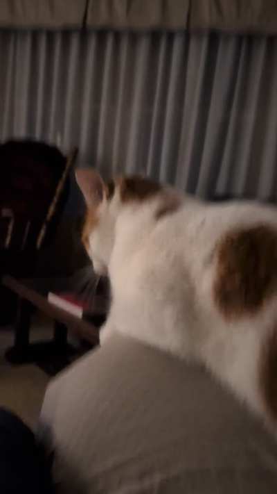 Ze bongos Danny likes.