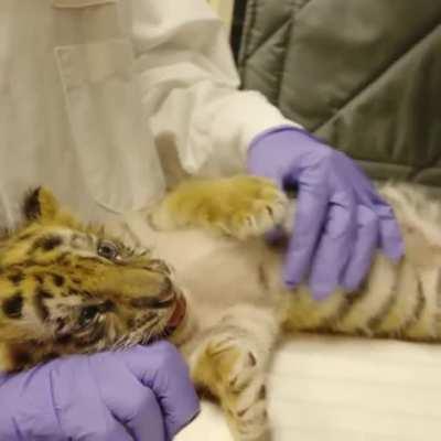 So cute and precious