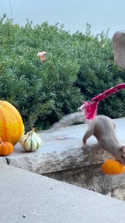 Their greed knows no bounds