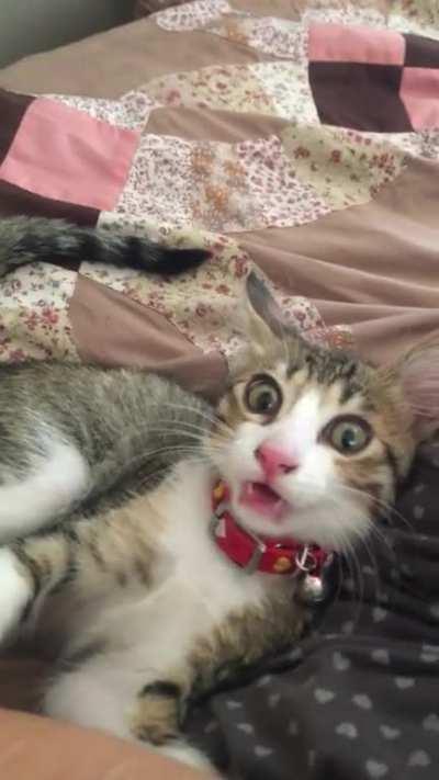 Wow okay no need to curse like that