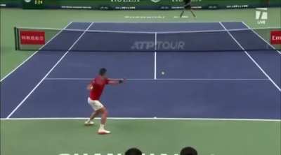 Djokovic crushes an insane inside-out forehand winner from behind the baseline