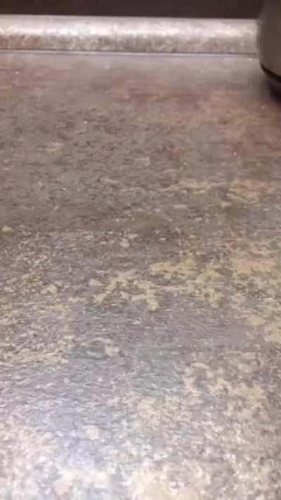 You can cut a potato with a knife