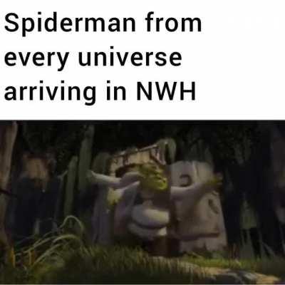 1000 Spiderman lessgoooo