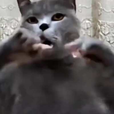 Mark Edward Fischbach