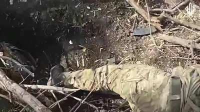 Ukrainian POV: Soldiers of the 3rd Offensive Guard Brigade captured Russian positions near Udachne (Pokrovsk direction). March 2025 [NSFW]