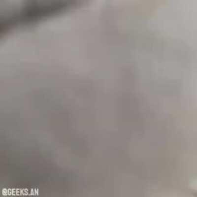 hot anime girl slaps you 😳😳😳