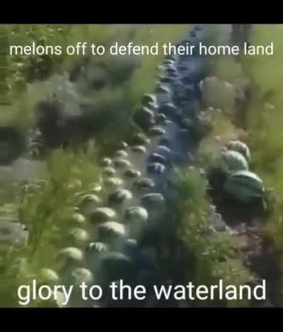 watermelon exodus